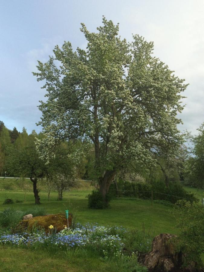 הוילה Kolmården Braenntorps Gard מראה חיצוני תמונה